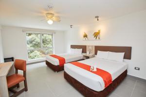 casa andina standard machu picchu