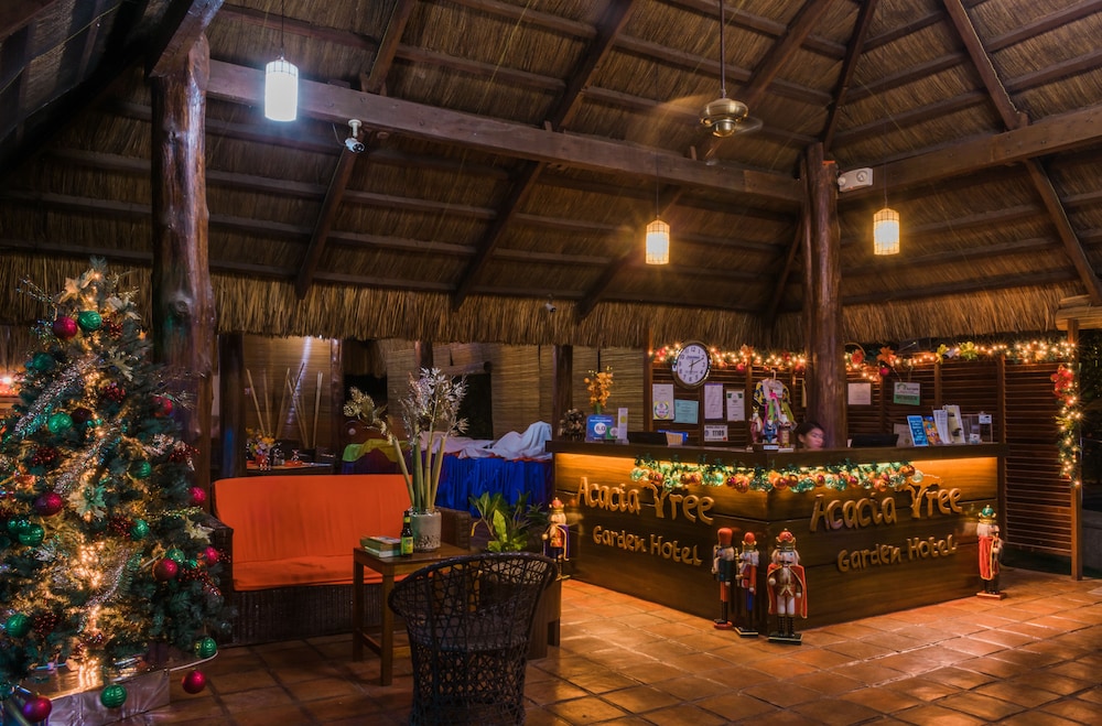 acacia tree garden hotel