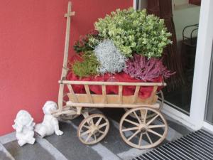 hotel rossli