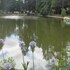 pedras salgadas spa and nature park