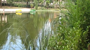 pedras salgadas spa and nature park