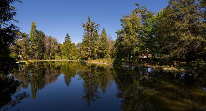 pedras salgadas spa and nature park