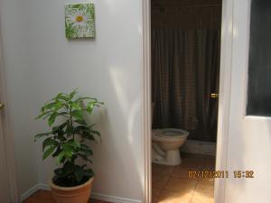 residencial universitaria