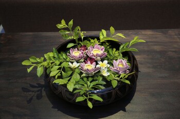 ladear angkor boutique hotel