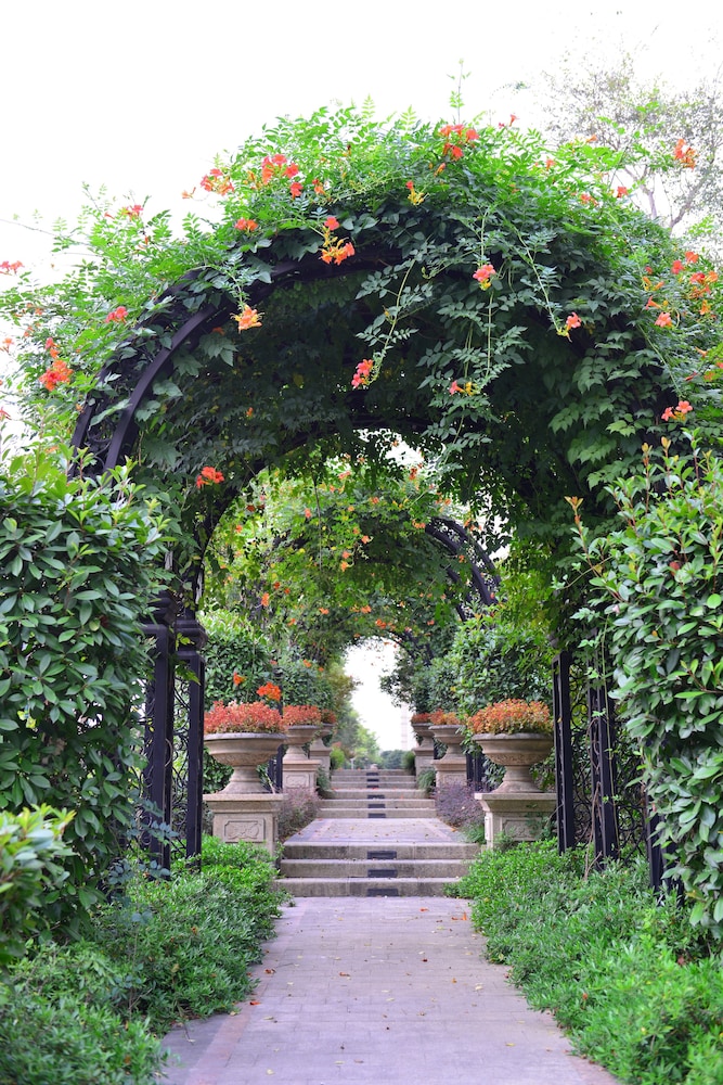 urban island hotel shanghai