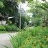 pai vintage garden resort