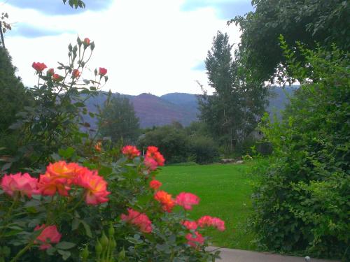apple orchard inn