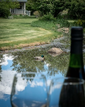 apple orchard inn