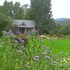 apple orchard inn