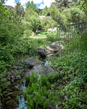 apple orchard inn
