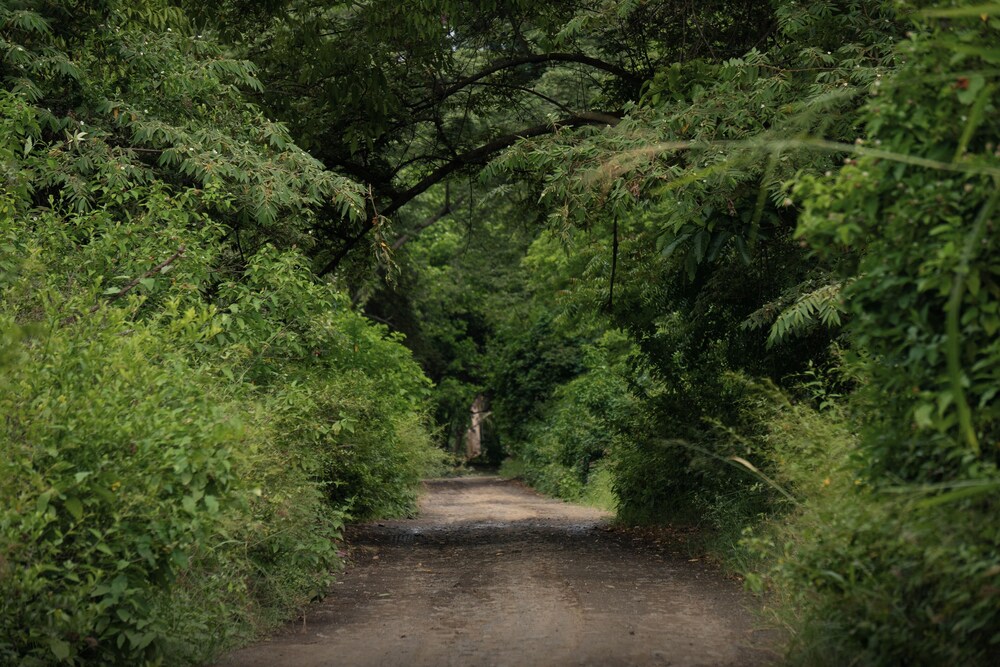 las tanusas retreat and spa