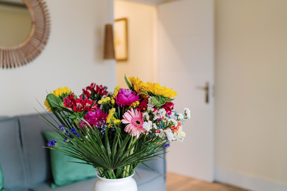 h boutique la caleta bay