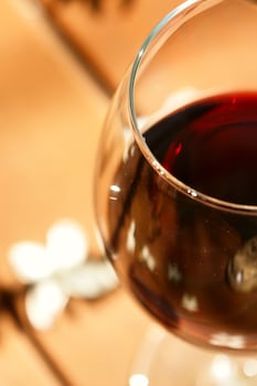 la alcoba del agua hotel boutique