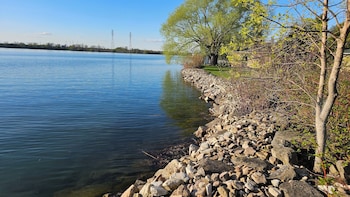 hotel oasis lac stlouis