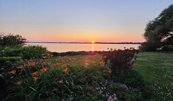 hotel oasis lac stlouis