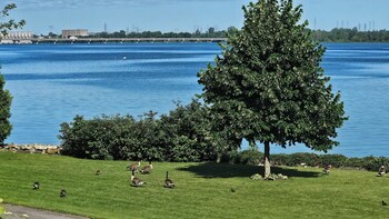 hotel oasis lac stlouis