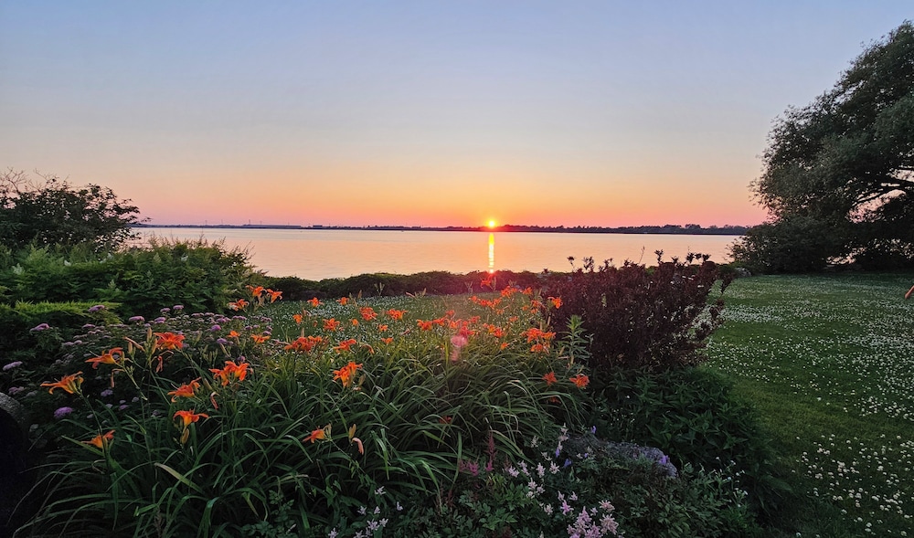 hotel oasis lac stlouis