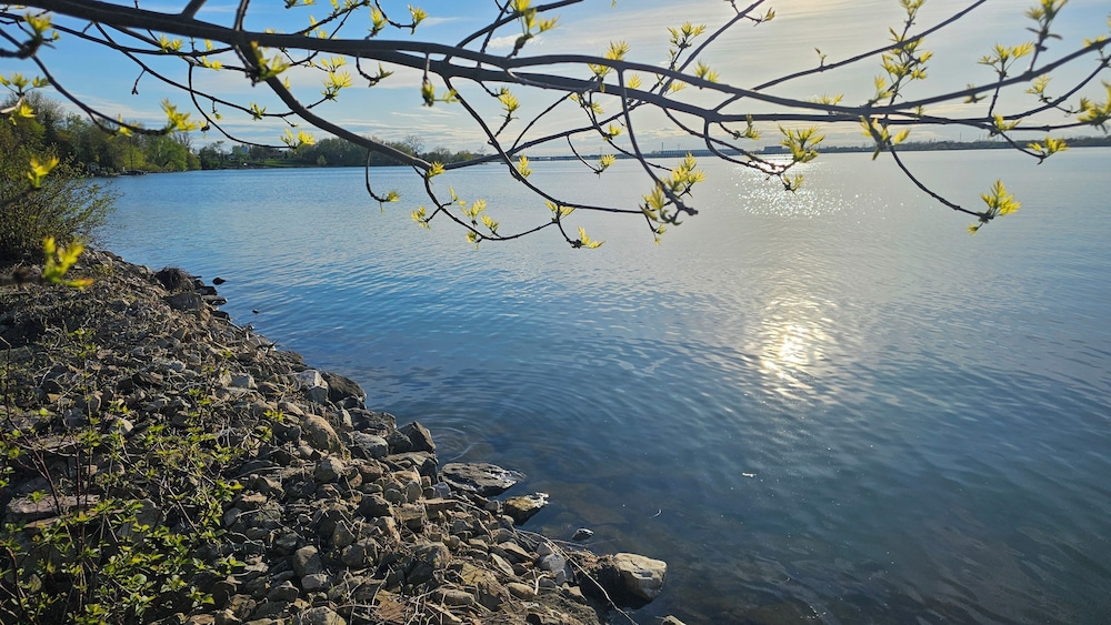 hotel oasis lac stlouis