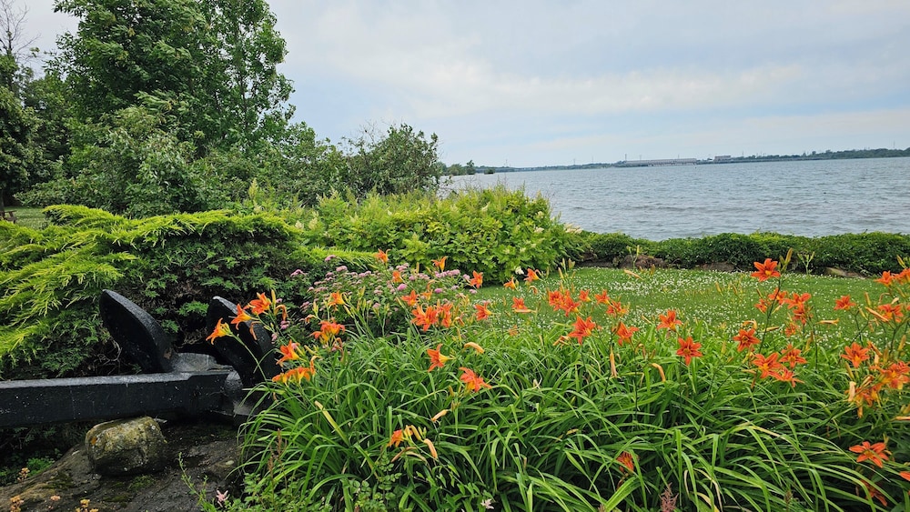 hotel oasis lac stlouis