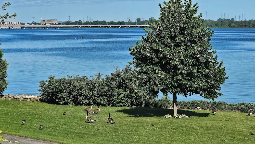 hotel oasis lac stlouis