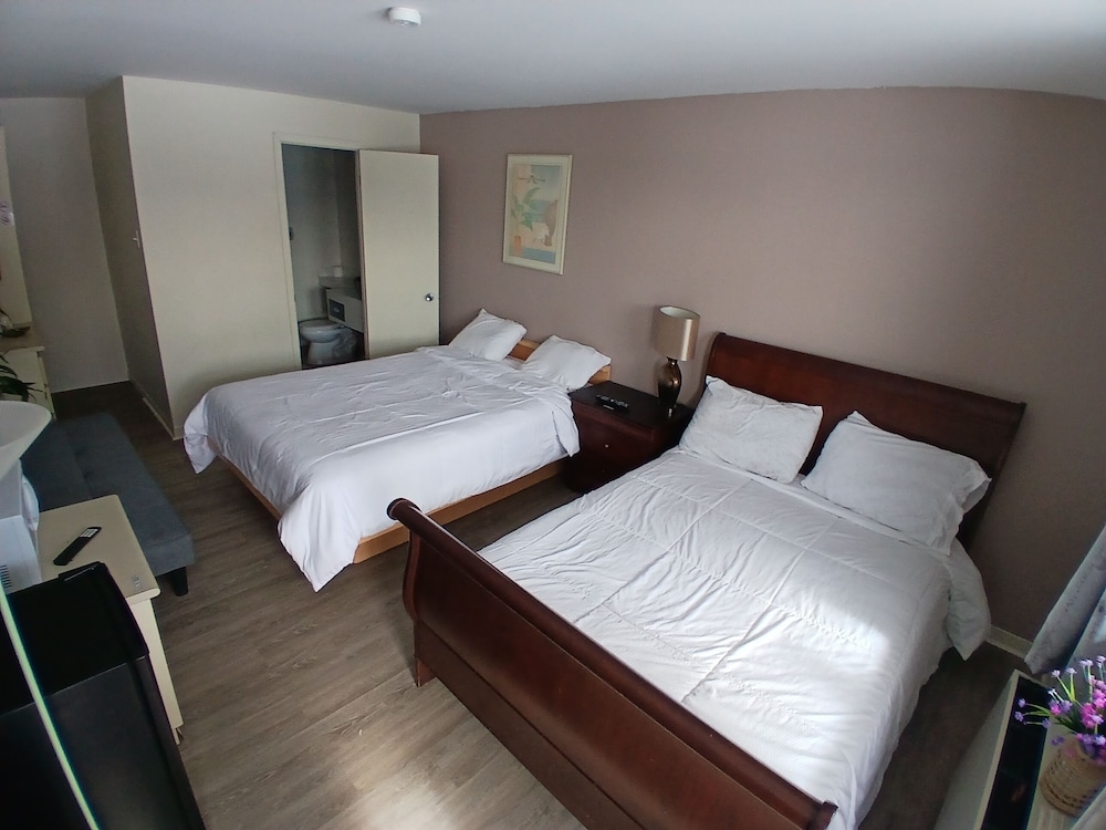 hotel oasis lac stlouis