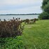 salaberry de valleyfield