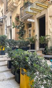 su29 boutique hotel