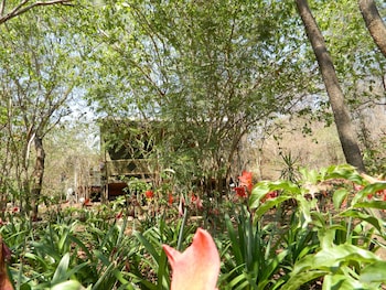 Kwalape Safari Lodge,Impalila Island>>Chobe,3 star