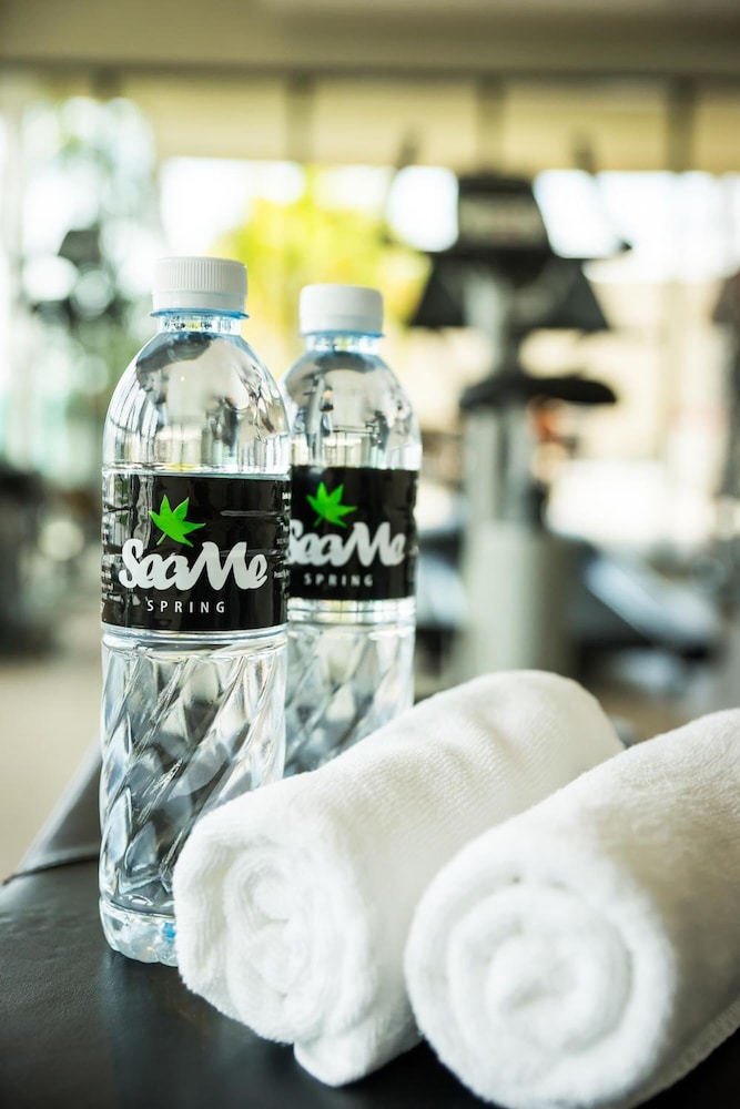 sea me spring tree hotel adults only