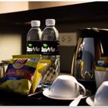 sea me spring tree hotel adults only