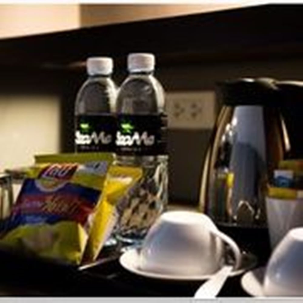 sea me spring tree hotel adults only