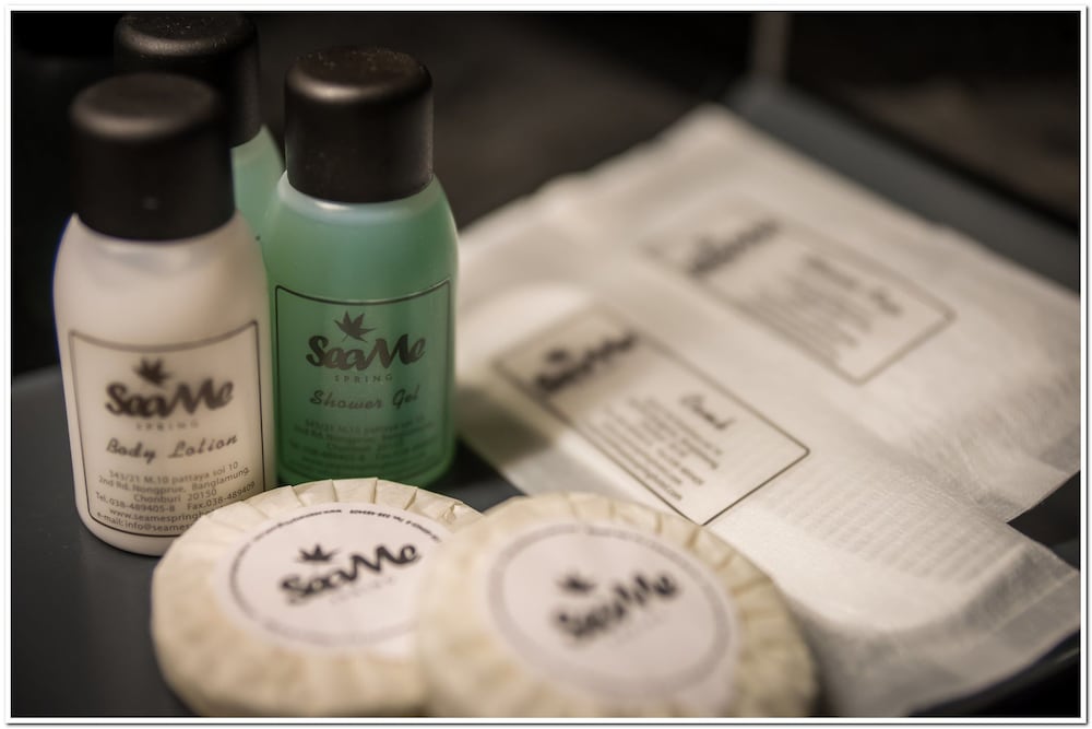 sea me spring tree hotel adults only