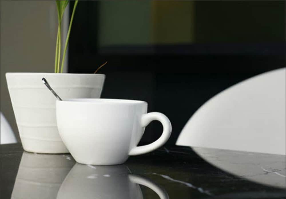 sea me spring tree hotel adults only