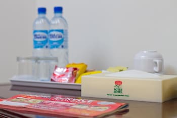 lotus hotel masjid india