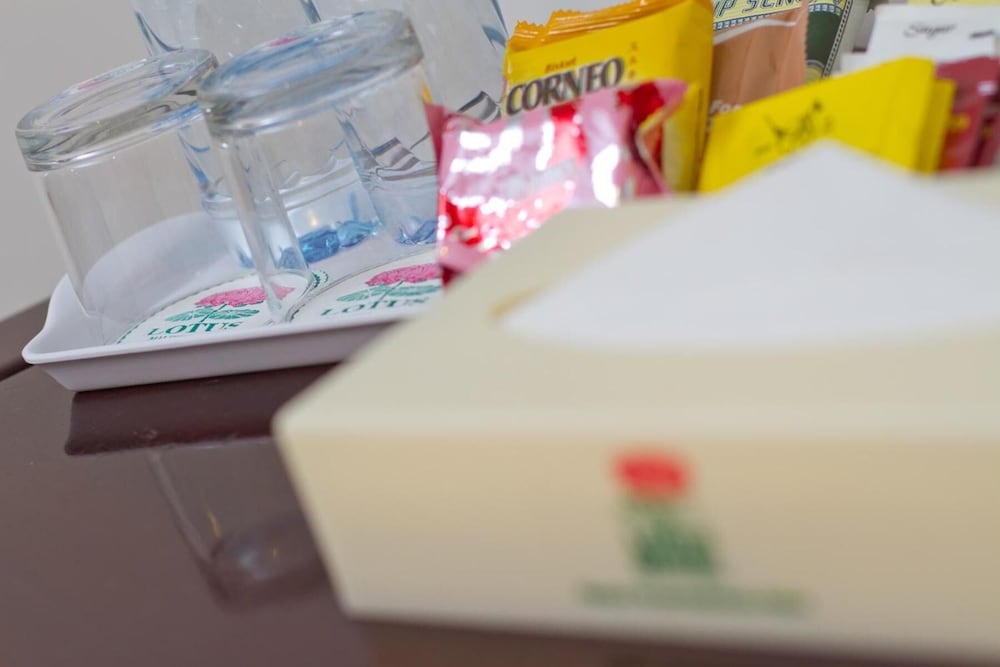 lotus hotel masjid india