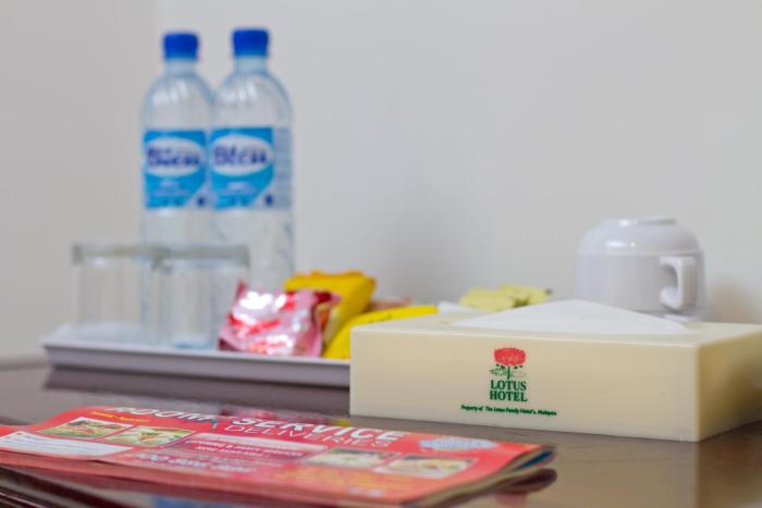 lotus hotel masjid india