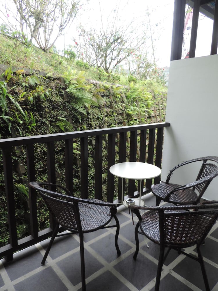 cameronian inn