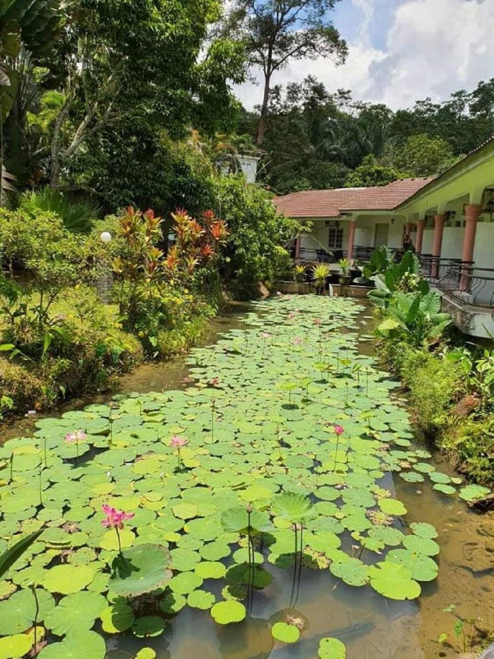 janda baik
