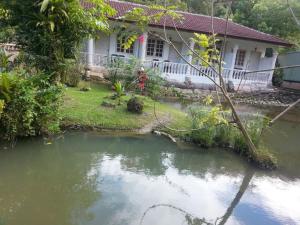 janda baik