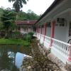 janda baik