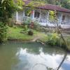 janda baik
