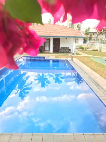 white rose beach resort marawila