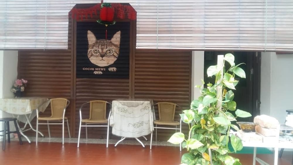 cocoa mews cafe and homestay hostel