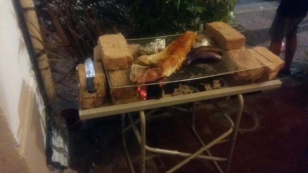 cocoa mews cafe and homestay hostel