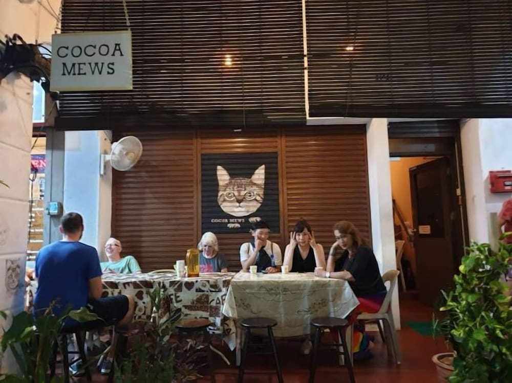 cocoa mews cafe and homestay hostel