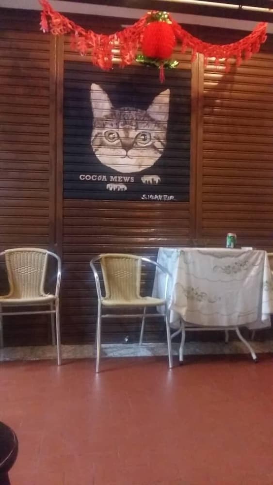 cocoa mews cafe and homestay hostel