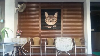 cocoa mews cafe and homestay hostel