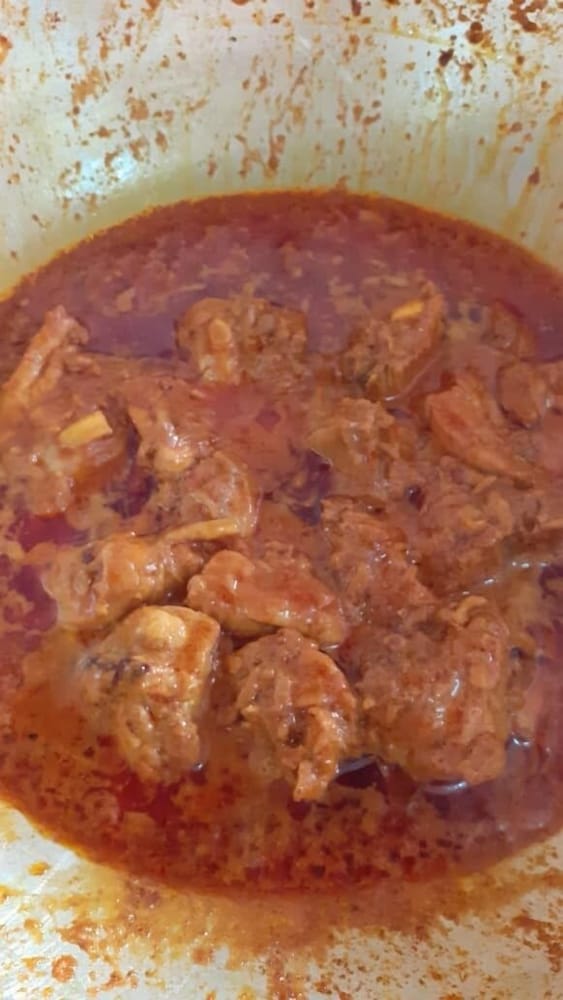 cocoa mews cafe and homestay hostel