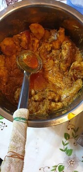 cocoa mews cafe and homestay hostel