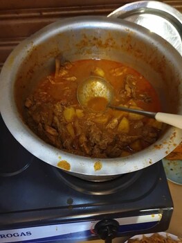 cocoa mews cafe and homestay hostel